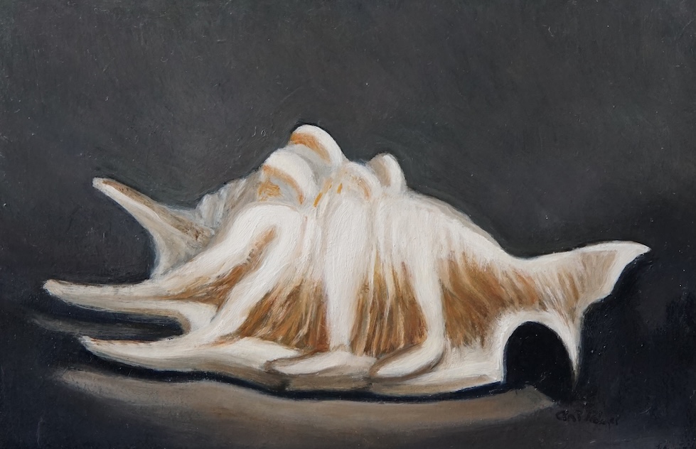 Conch Shell