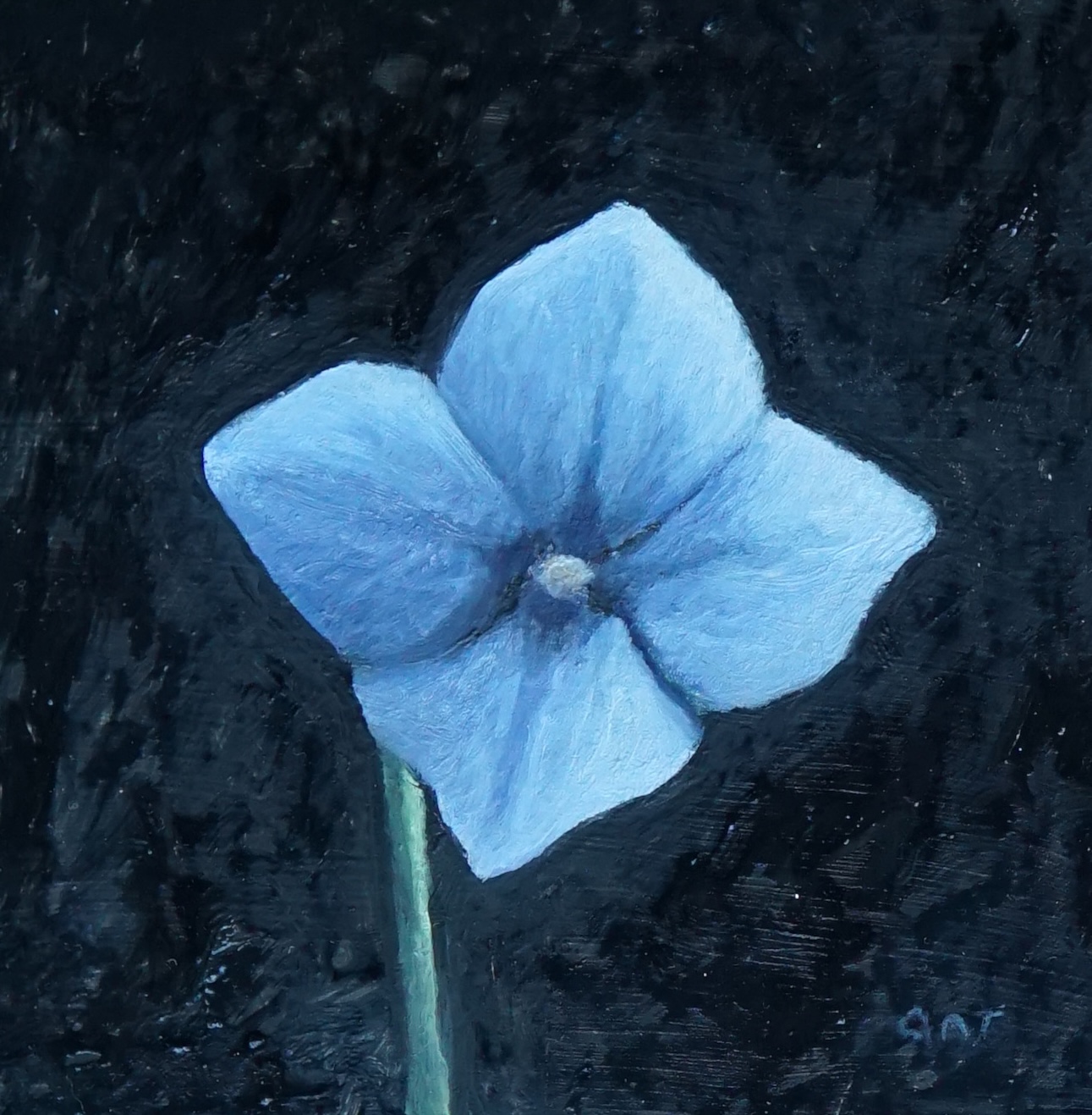 Small Cut Flower